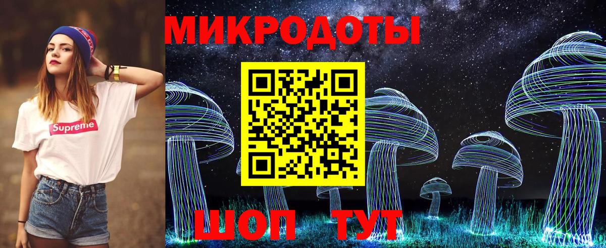 Галлюциногенные грибы мицелий  Вход с VPN  Псилоцибиновые грибы мицелий  Камышлов 